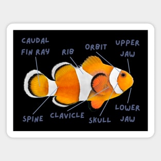 Anatomy of a Clownfish And Funny Labels Magnet